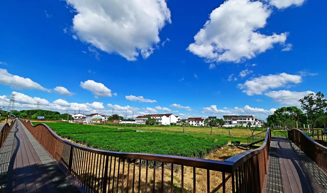 你是否认同这样的观点：当女性不愿承担最基本、最原始的生育价值时，婚姻便失去了意义