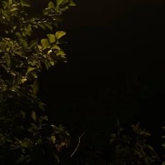 阳光信用 脚下有路，心中有光。 