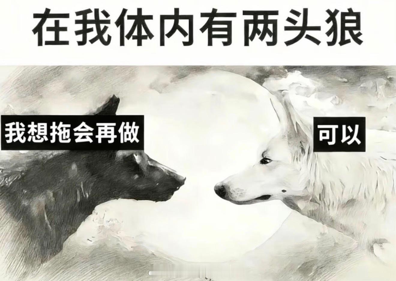 我每天be like 