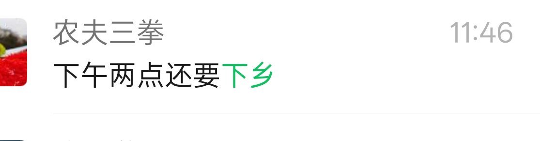 本来已经磨刀霍霍了，但突如其来的下乡，只好作罢，今天主仓又没有动，尾盘差点给跳绿