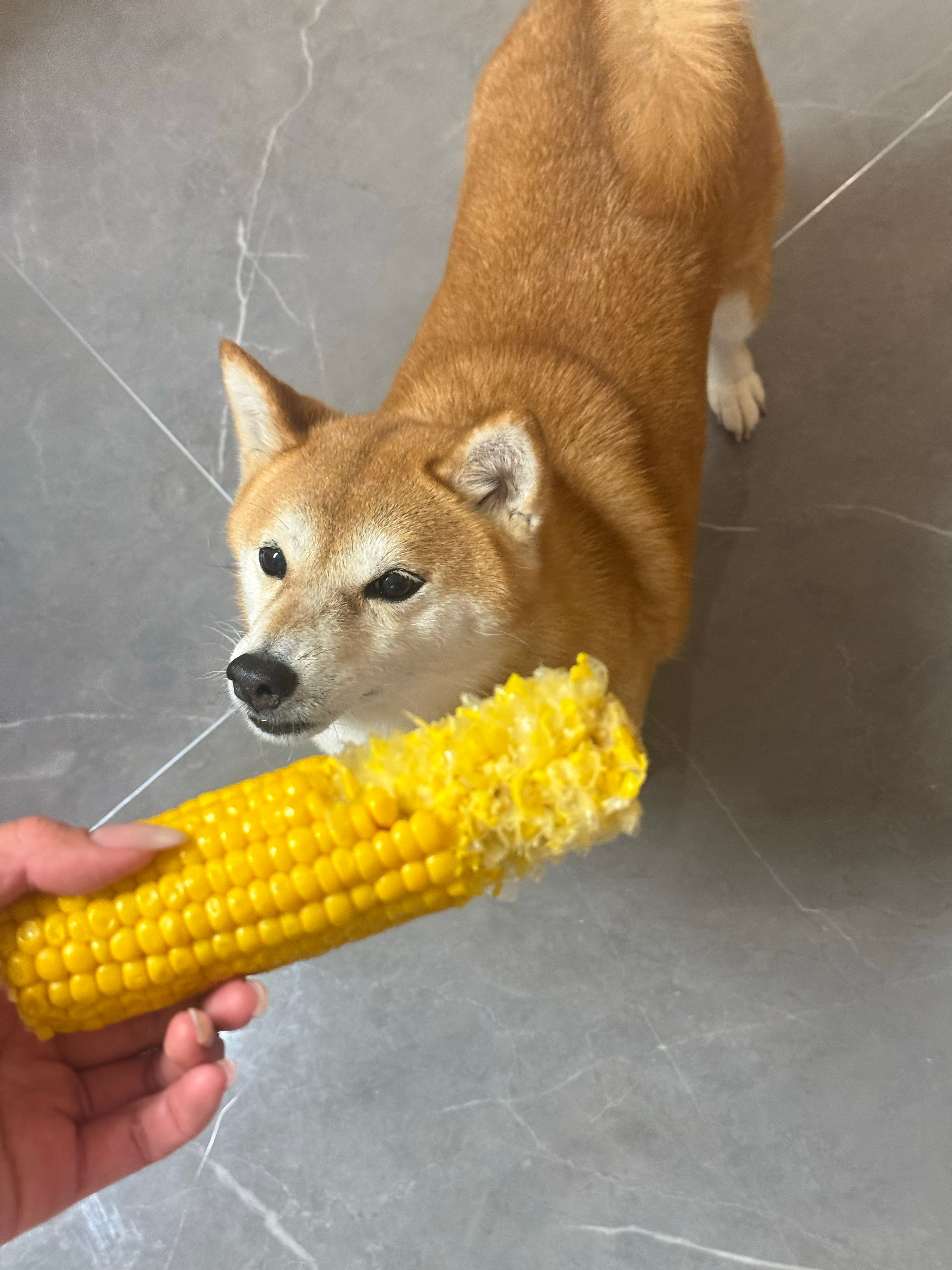 嗯！！！回到上海饮食就是如此节制！！！谈美减肥记录