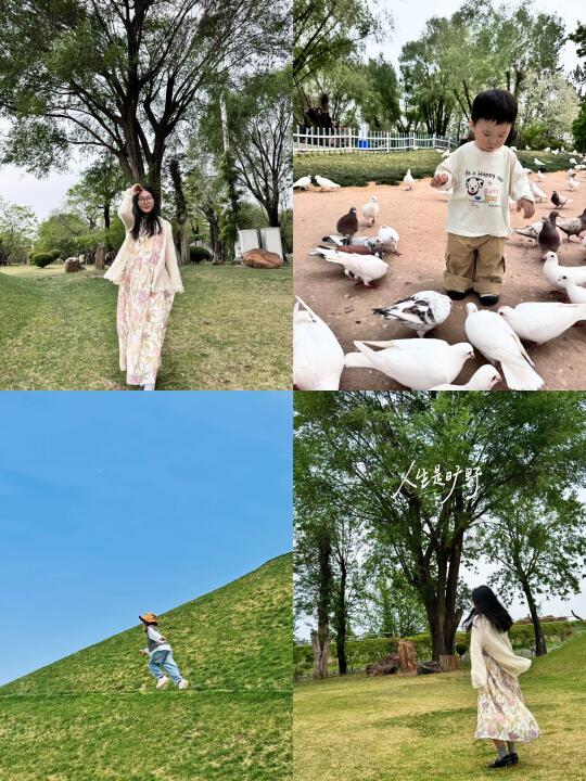 春天的绿博园 🏕|𝓖𝓸  𝓬𝓪𝓶𝓹𝓲𝓷𝓰