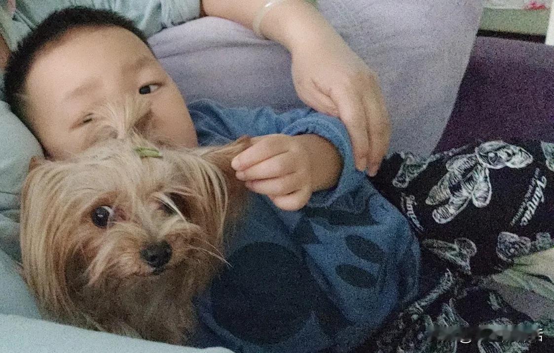 与狗同怀，与狗同乐。小孙子比狗狗年龄还小，所以经常会叫狗子“吉祥姐姐”。[呲牙]