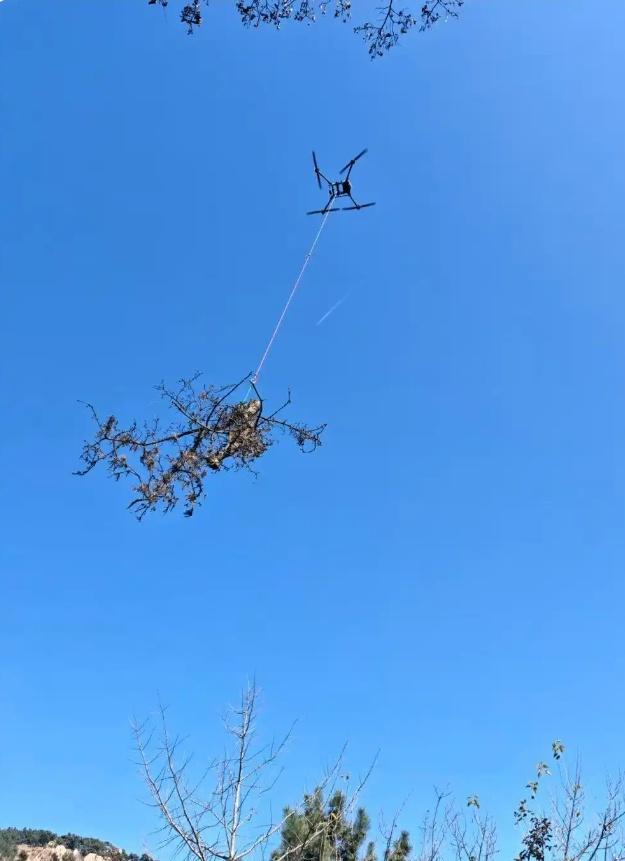 青岛天空彻底沸腾！无人机当搬运工日省20人力，直升机观光火爆，万亿级“空中财富”