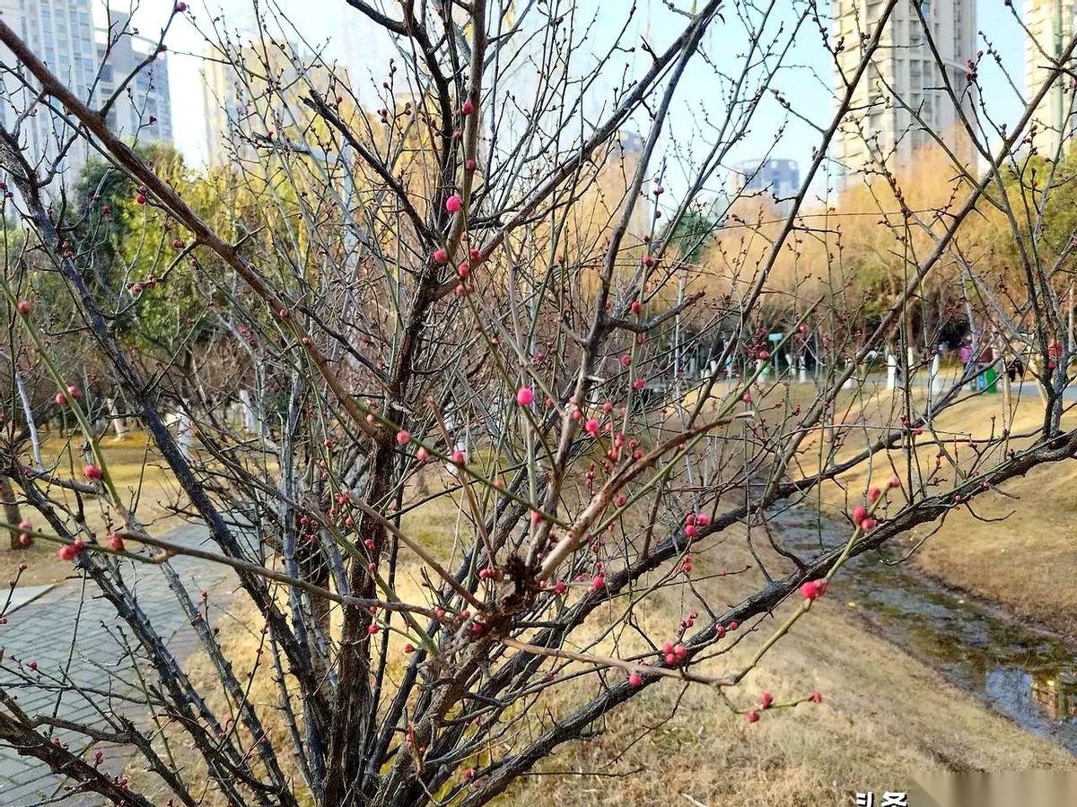 为啥我对你那么好，你却把我当空气？
别问了。真的，别再傻乎乎跑去问人家为什么了。