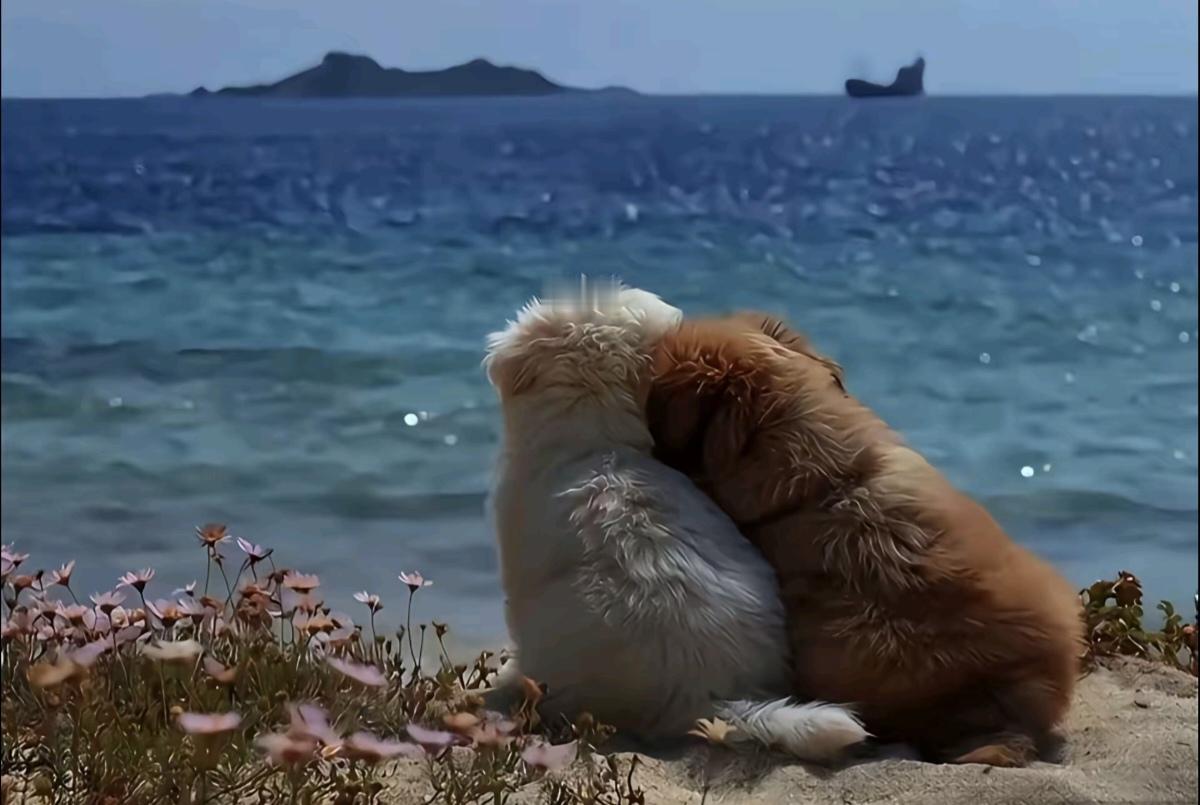 平潭的天
​阴一哈晴一哈
​让我好尴尬
这​究竟算欢迎呢还是纯粹意思一下
恰恰​