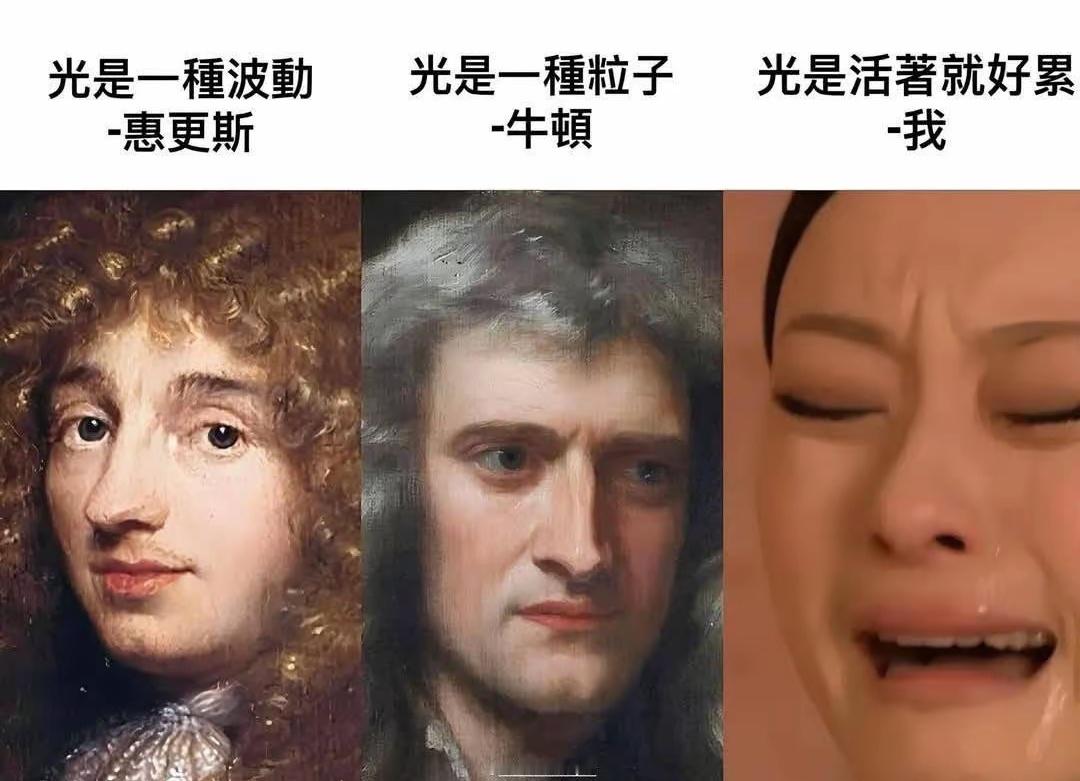 哈哈哈 