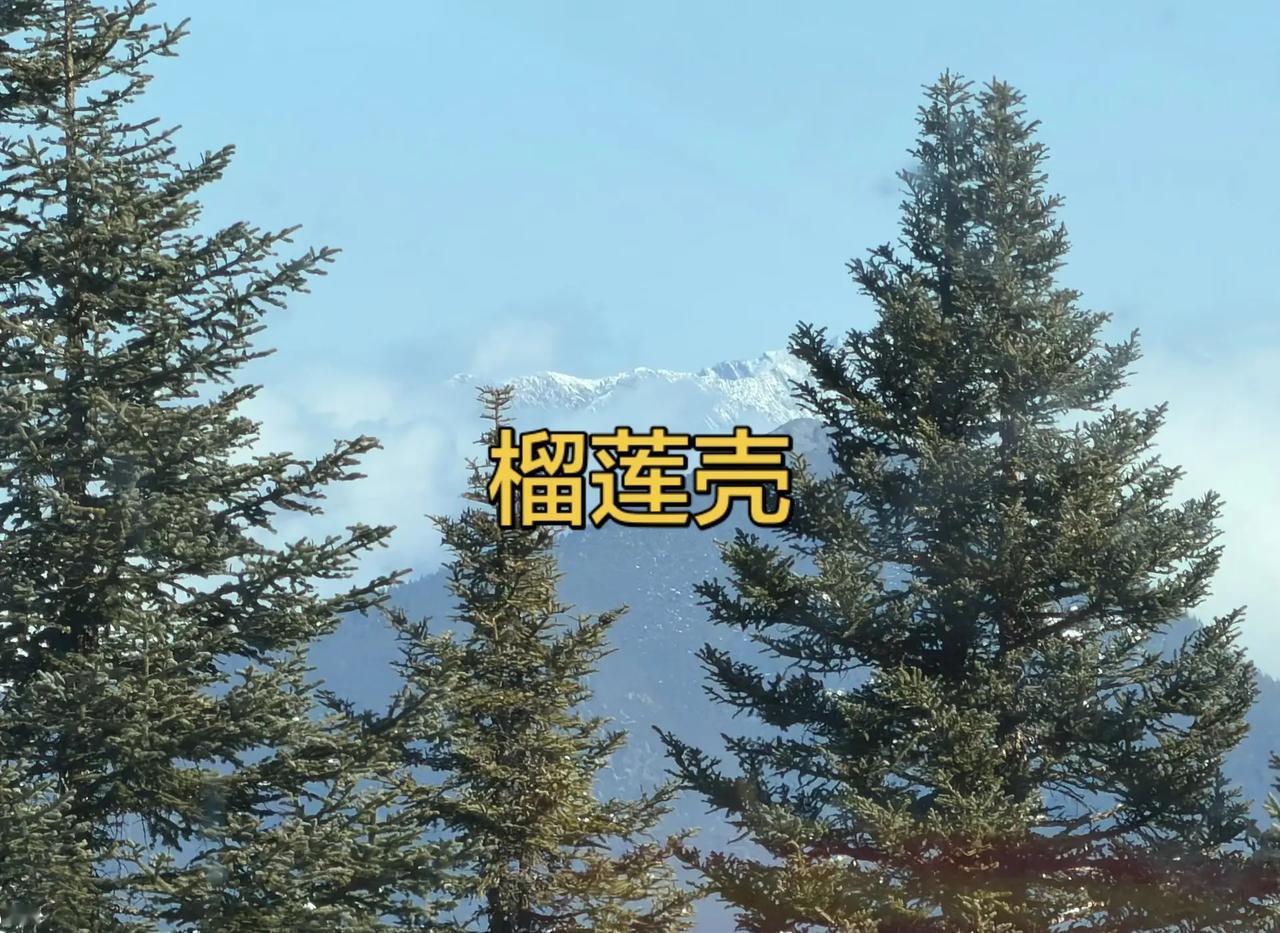 体坛新星登临巅峰，吴宜泽书写全新历史，强势拿下斯诺克世锦赛至高荣誉，一举创下历史