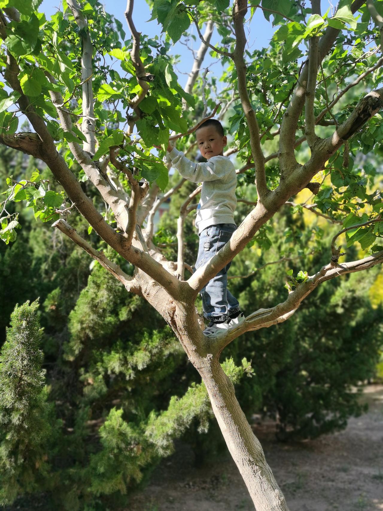 3月26日，一年之季在于春，春天是孩子最活泼的时间，享受大自然的风光，在阳光沐浴