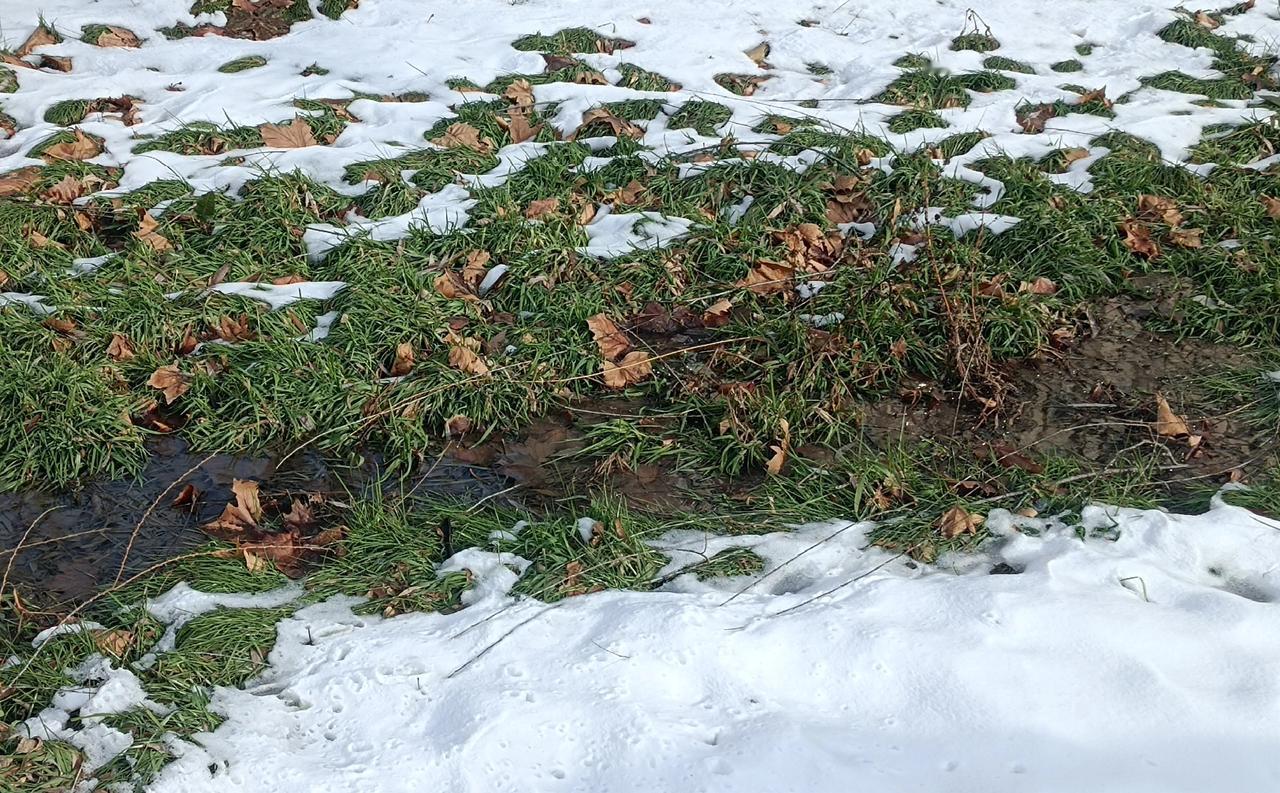 丹麦国防部对士兵下令说，如果美国入侵格陵兰岛，士兵可以先开枪打美国大兵，不用请示