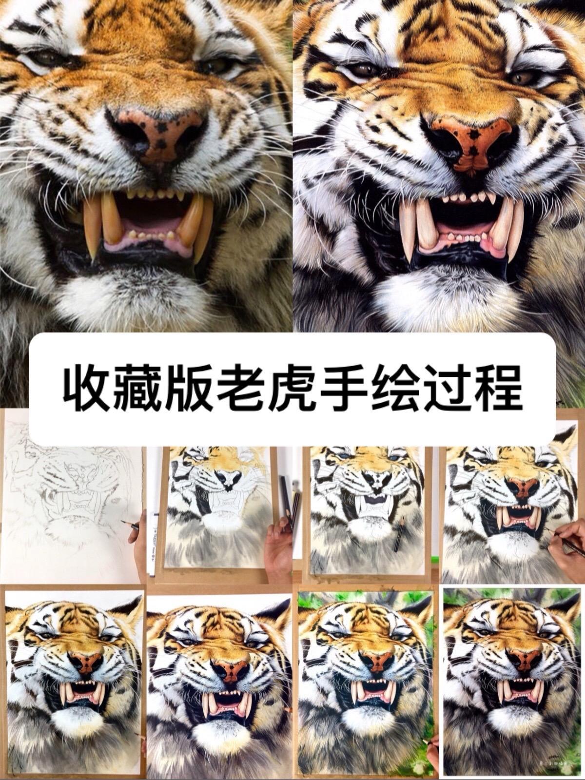 综合材料绘画，水彩打底马克笔加彩铅深入，绘制过程全流程马克笔手绘 马克笔 绘画过