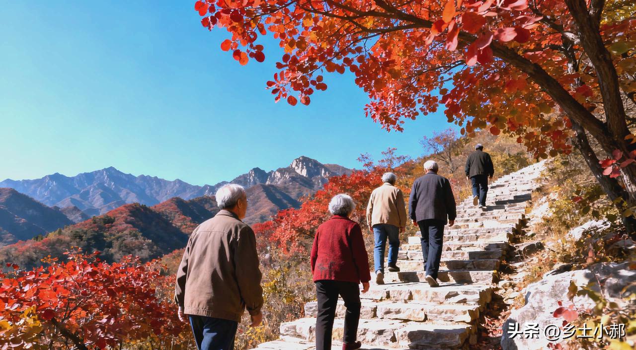 今日重阳节，牢记"1不去，2不出，3不碰，4要吃"，老传统不迷信

前几天路过街