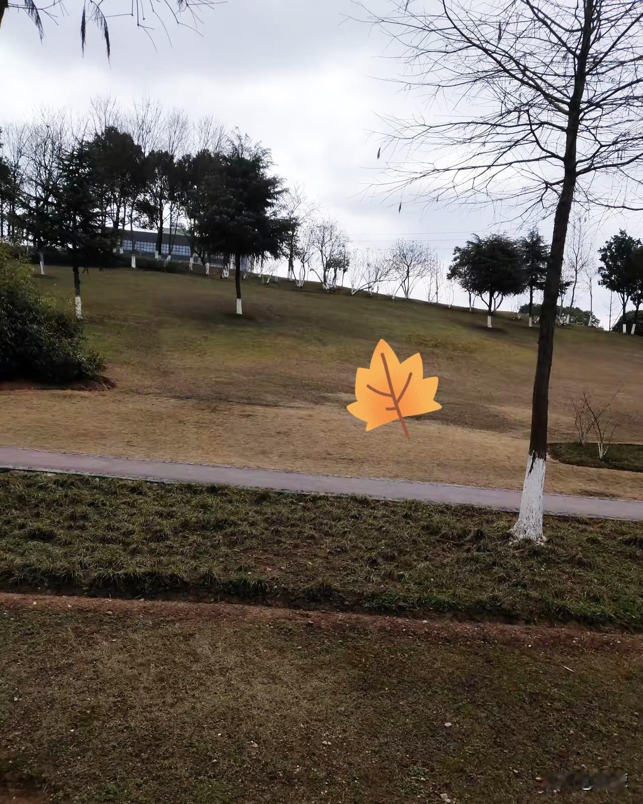 天下的人真的无奇不有，
我们楼道里有个女的，
看上去应该没50岁，无儿无女，家里