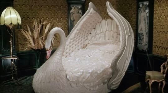 🦢 