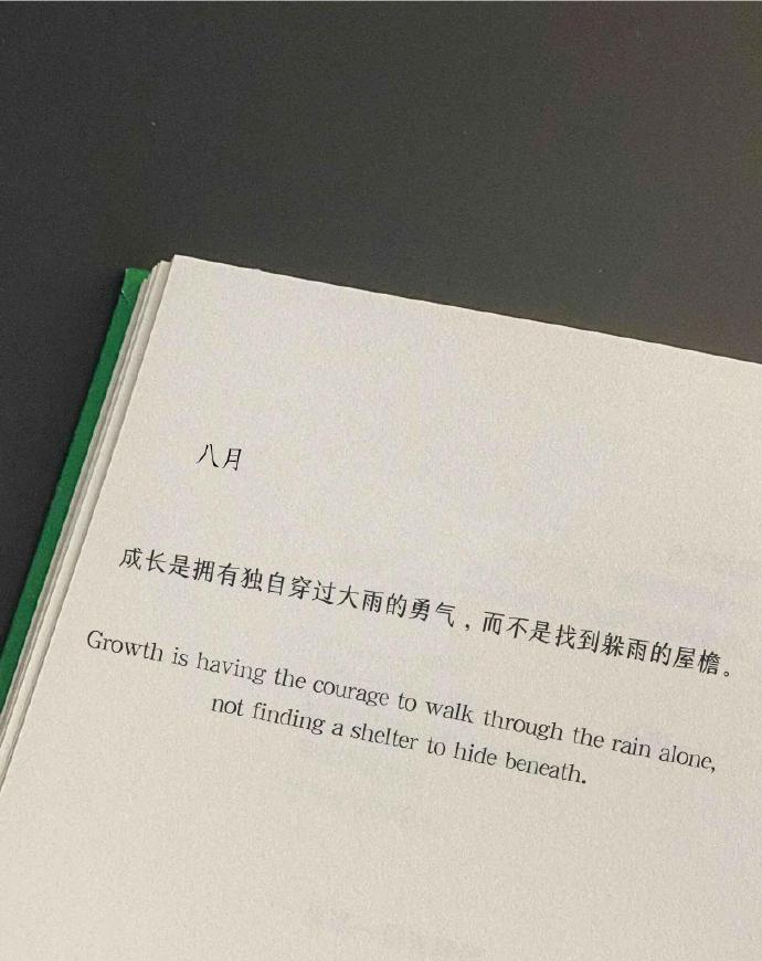 “成长是拥有独自穿过大雨的勇气，而不是找到躲雨的屋檐。” 