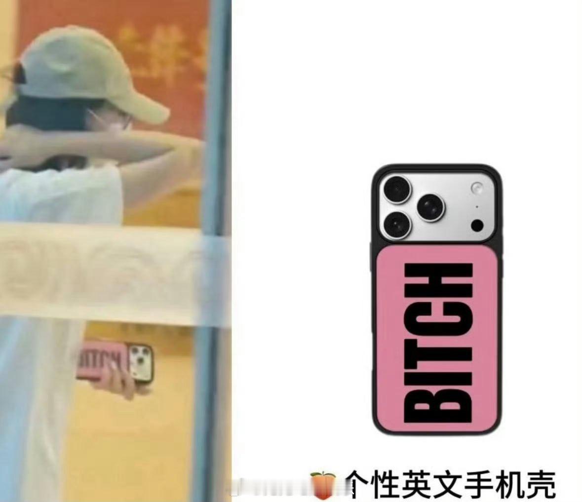 迪丽热巴手机壳 你怎么看呢 