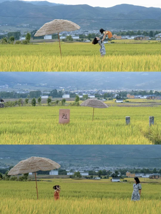 不是喜洲🌾在沙溪打开稻田、品茶马古道余韵