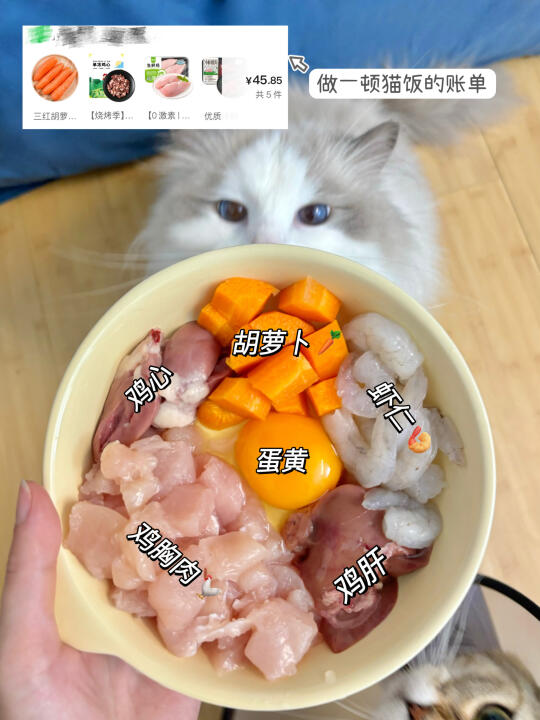猫饭自制VS猫粮成品 哪个更划算？