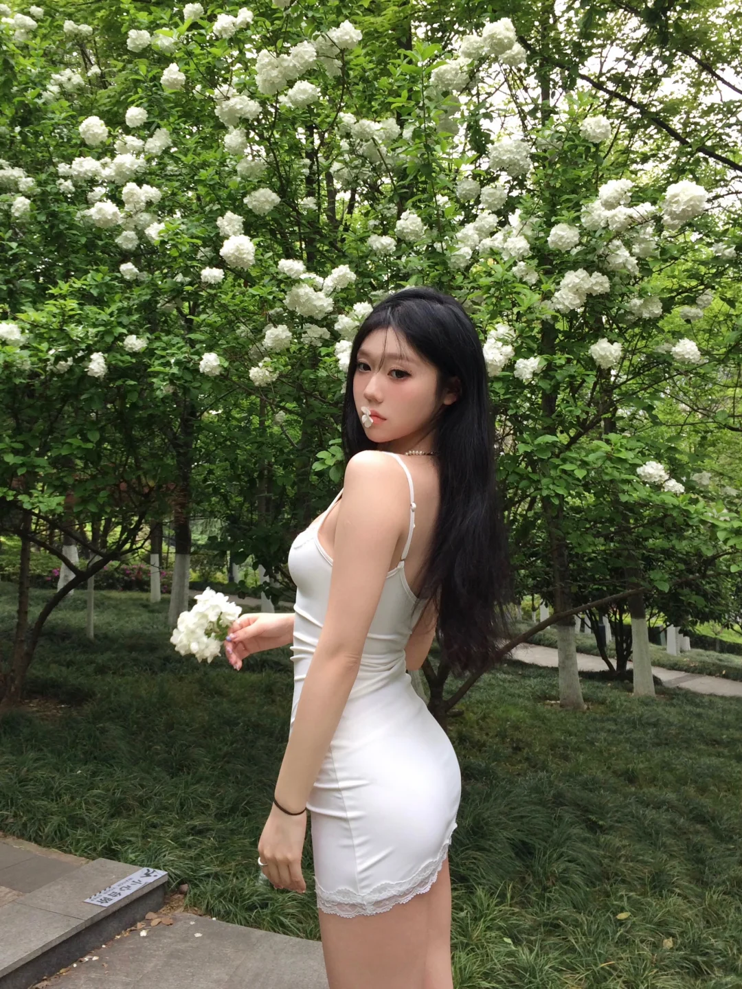 四月绣球花🍃