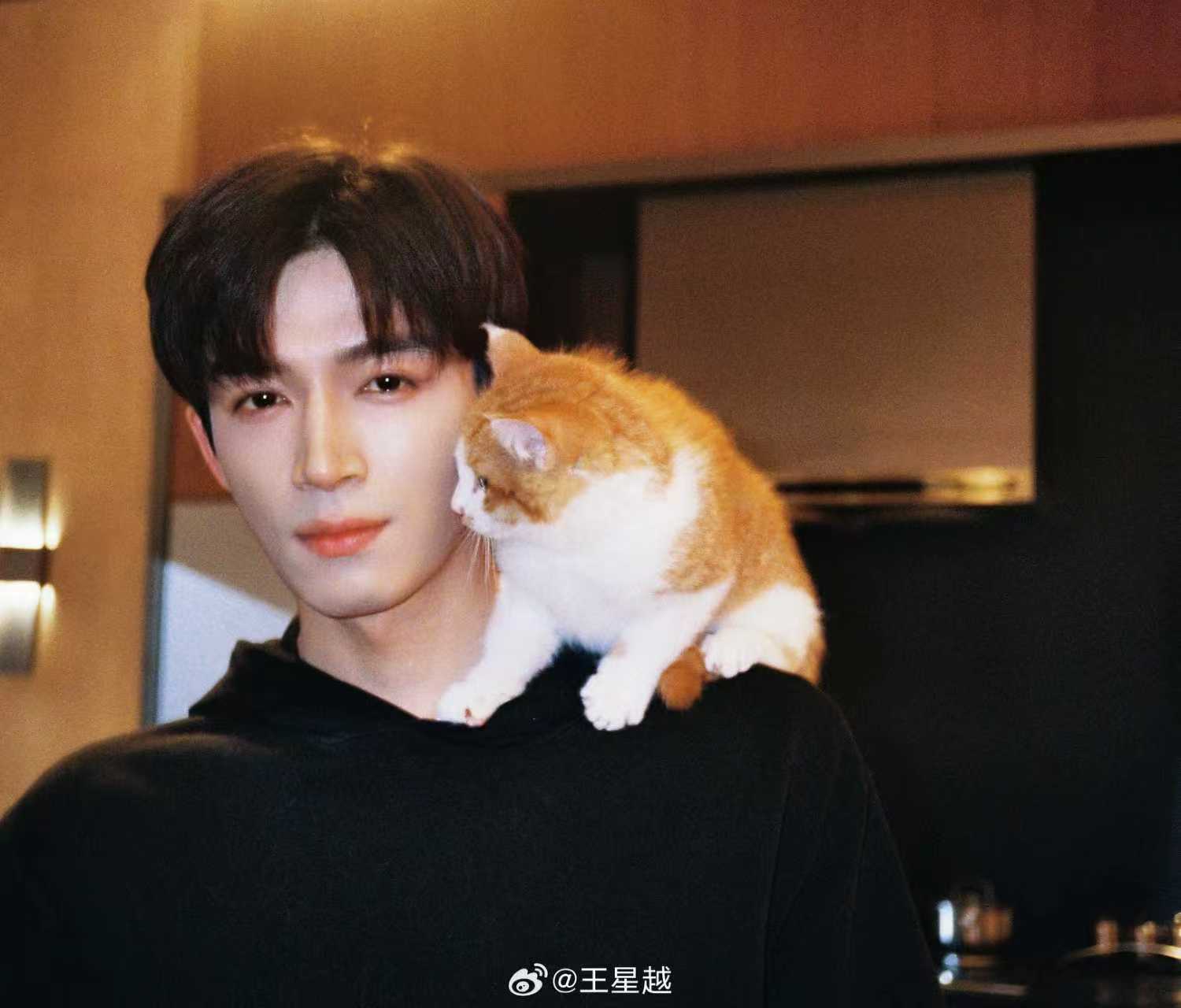 王星越把猫扛在肩上 王星宇把猫扛在肩上王星越真的很宠自己的小猫呀，和猫咪贴贴也太