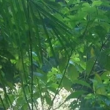 每日一善[超话]阳光信用 每日一善 从黎明中带来火种  在恐怖的风暴中消逝  在