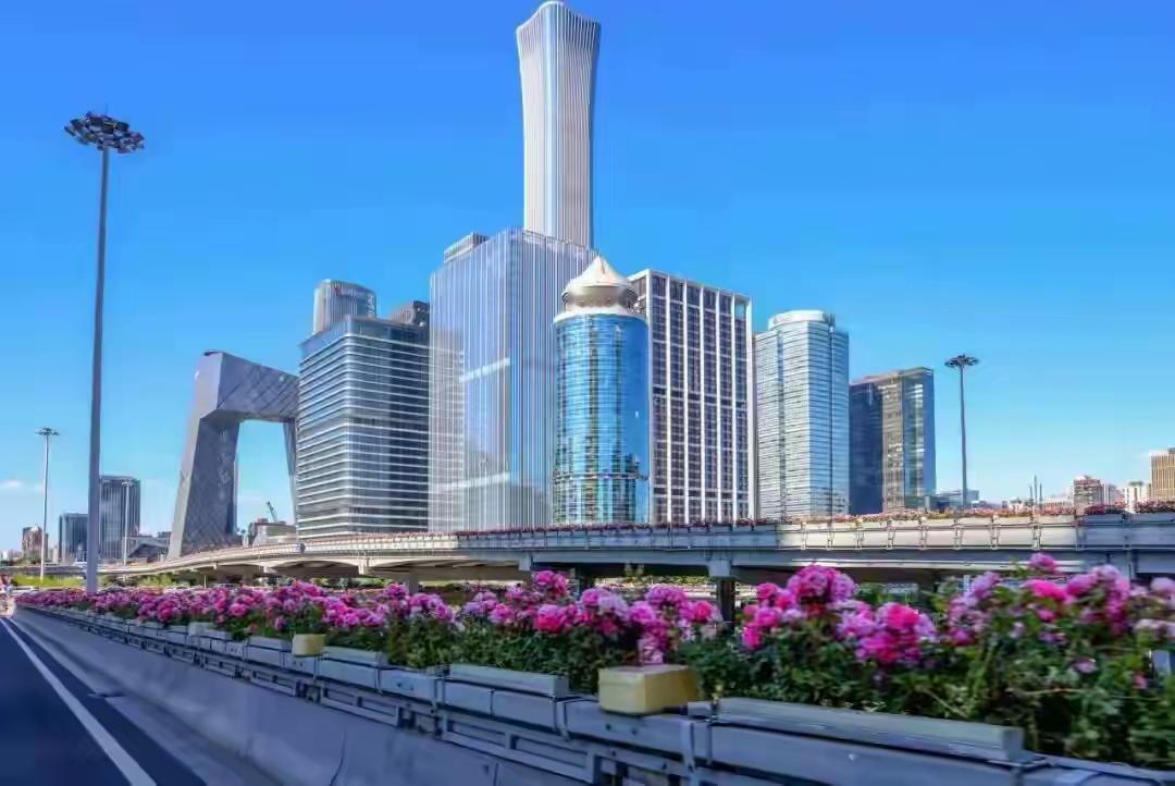 每日一图随手拍最绚烂的时刻