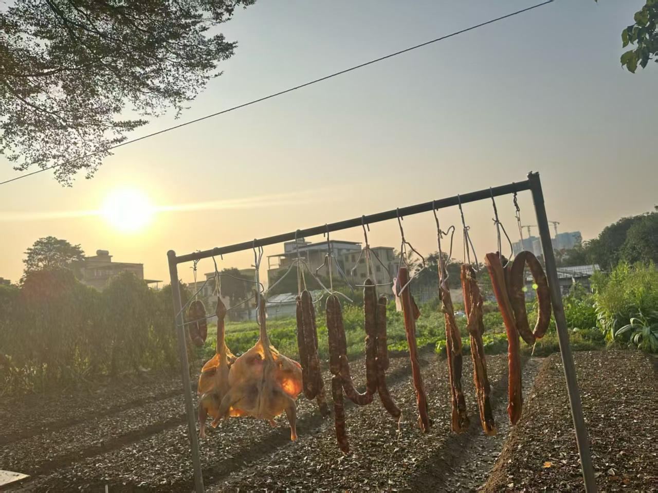 夕阳下的腊味香
 
傍晚收工回来，一抬头就看见架子上的腊鸭、腊肠被夕阳裹得金黄透