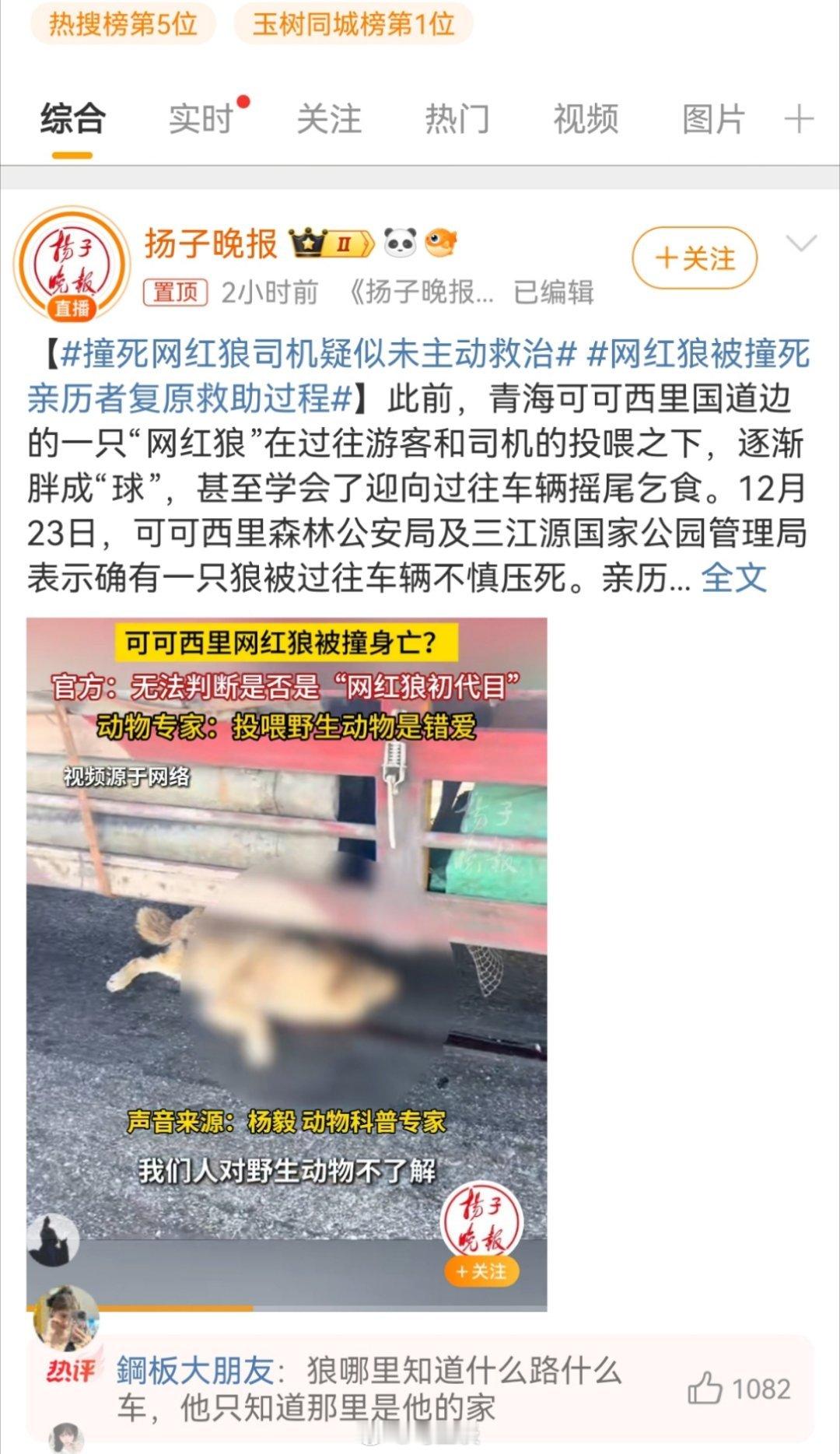 撞死网红狼司机疑似未主动救治 媒体的要求逐渐离谱…按照小编的说法，难道为它做人工