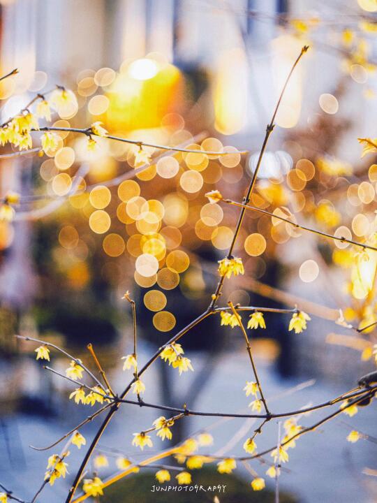 交换春天🎐泡泡焦老镜头里发光的春天