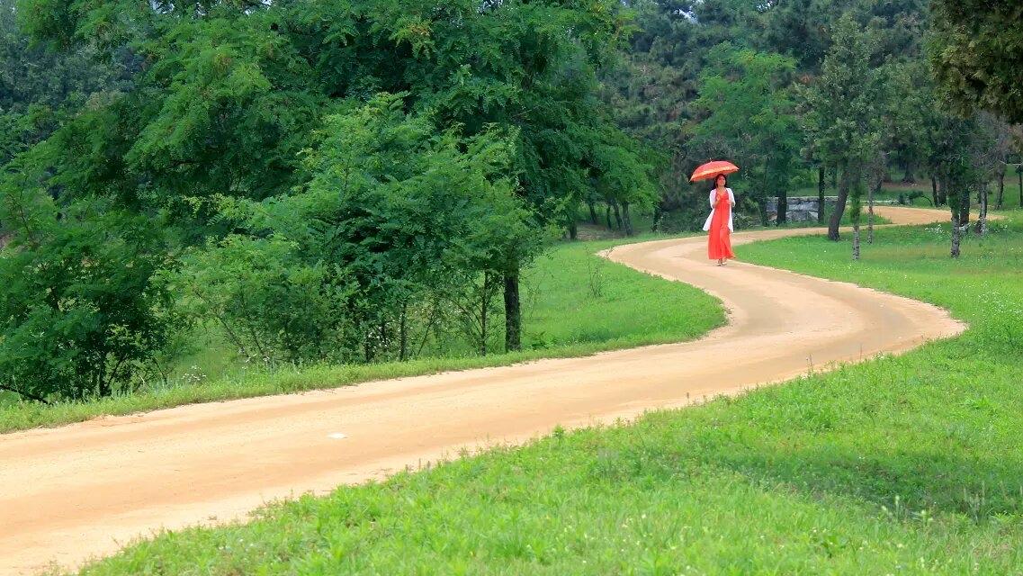 满目森林径自通
红衣携伞御清风
         蜿蜒土路穿梭在密林草地之间，满