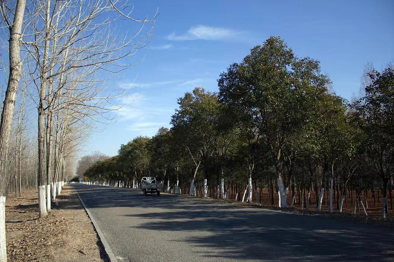 冬日生活打卡季今天天气不错，天很蓝，风很轻，开车出来打个卡，呼吸一下新鲜空气！