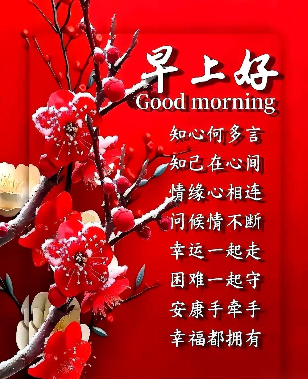 别再给我妈发那些“冬日安康”的祝福了，我谢谢您。
我跟您说点掏心窝子的话。
天冷