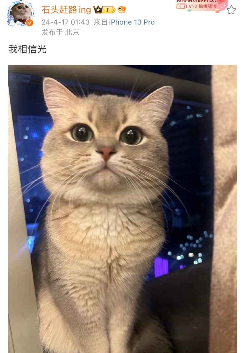 WBG 老板石头赶路大半夜发文：我相信光[doge]，网友回复：怎么相信。[笑c