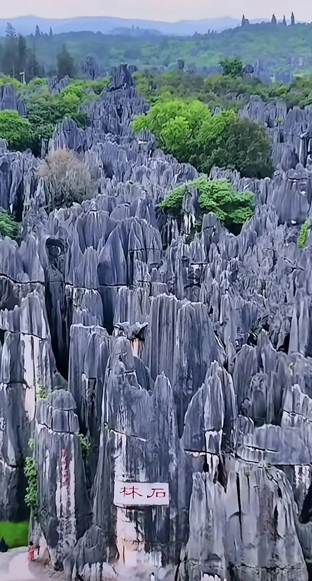 只有专心、实干、拼搏的人才会有收获风景 石林 自然而成真