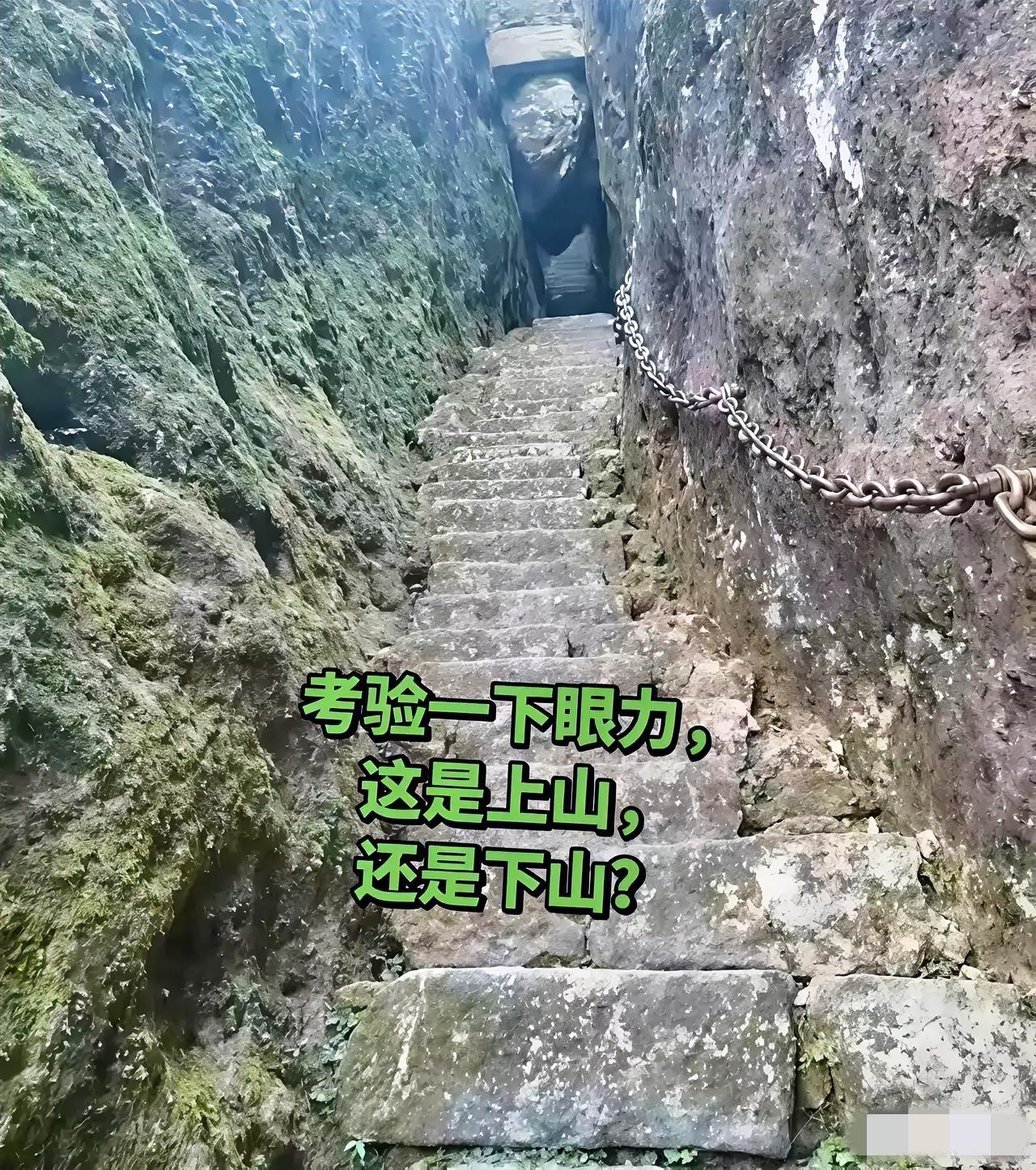 不吹牛！问了十个人，有九个人看错了，谁能一眼就看出来，绝对是大神级别的高手。
瞧