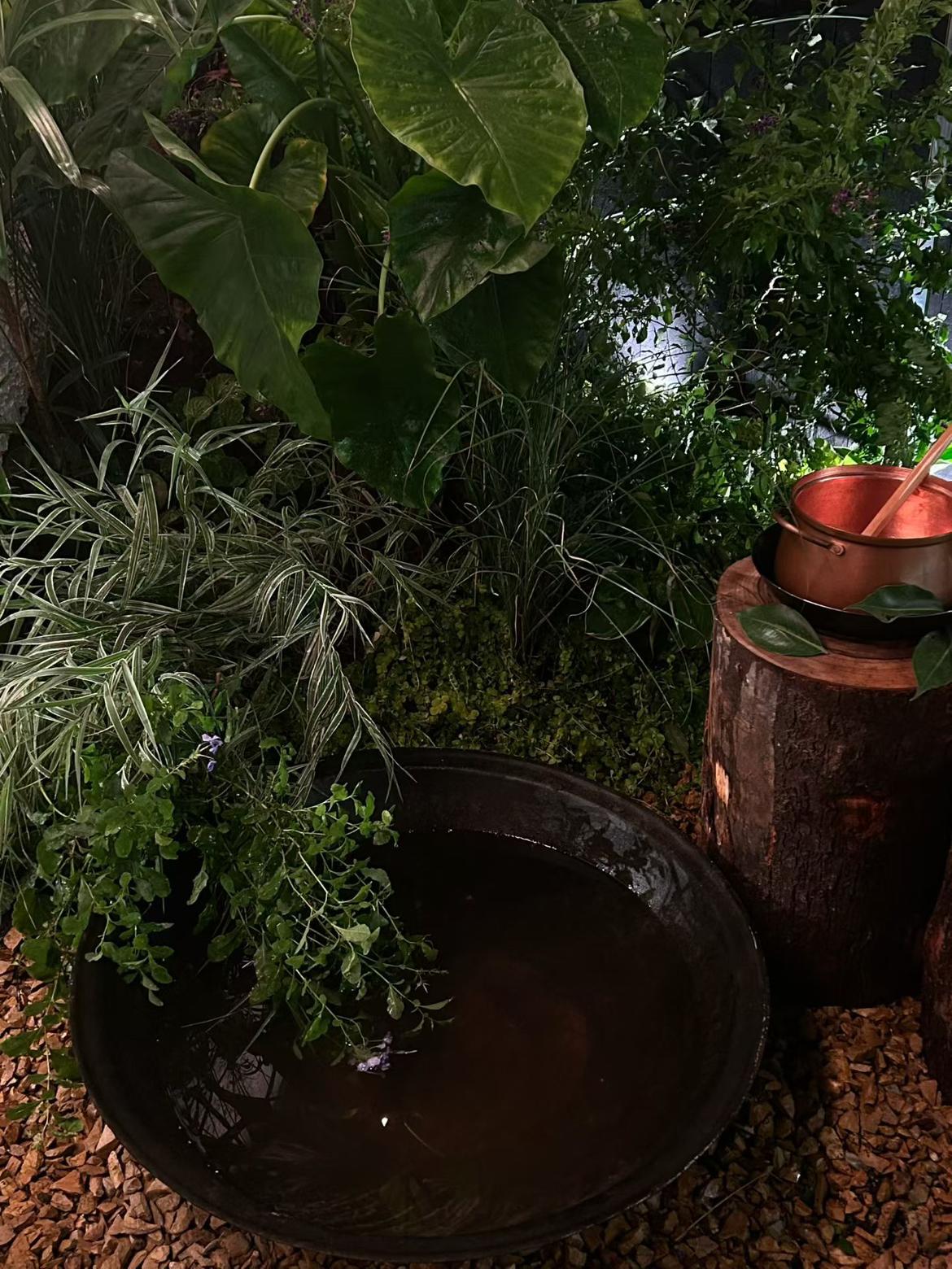 我的今日状态：😁轻松愉快
我这里的天气：☀️晴天