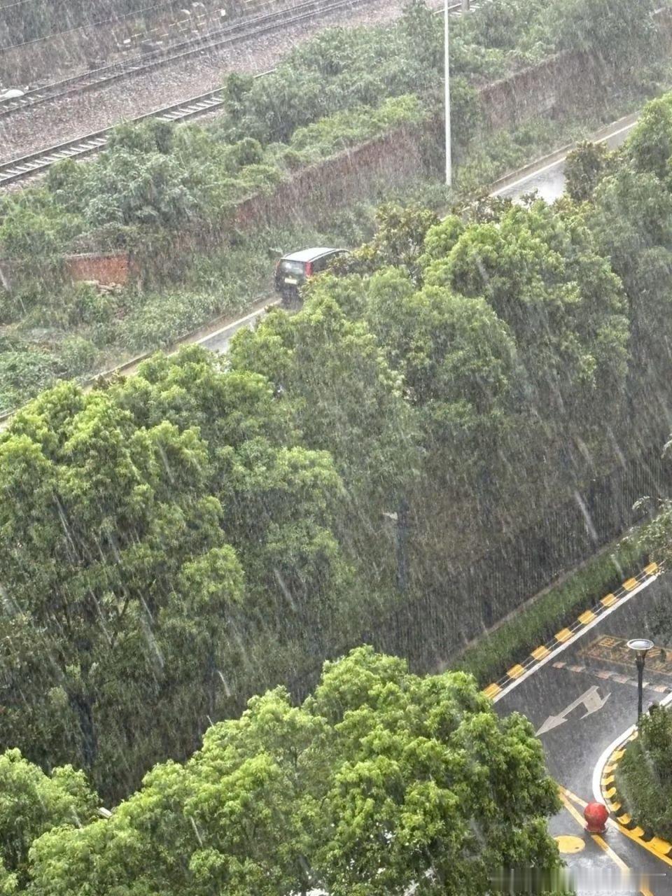 这雨下的好大啊！都下冒烟了 