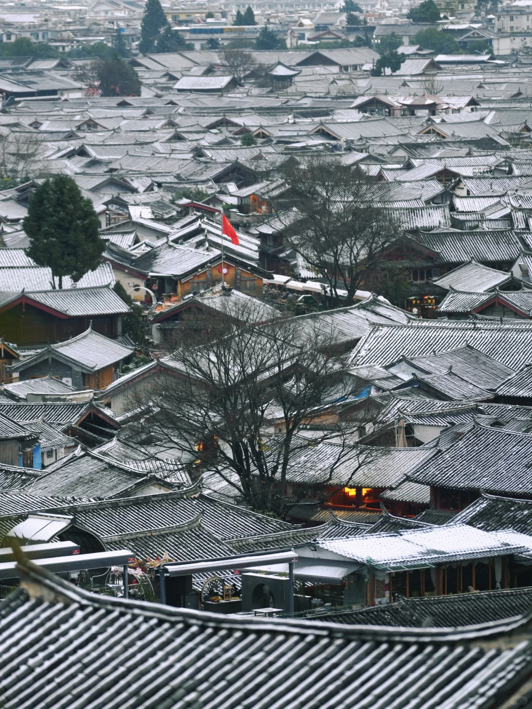 1.28 玉龙雪山大索道，牦牛坪继续停运