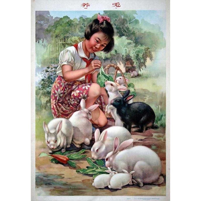 老年画欣赏《养兔》