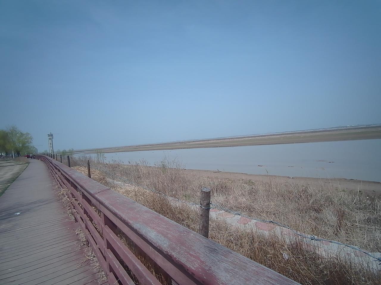 黄河水暖人先知。在家里窝了一个冬天的人们纷纷走出家门，来黄河边踏青游玩赏花！