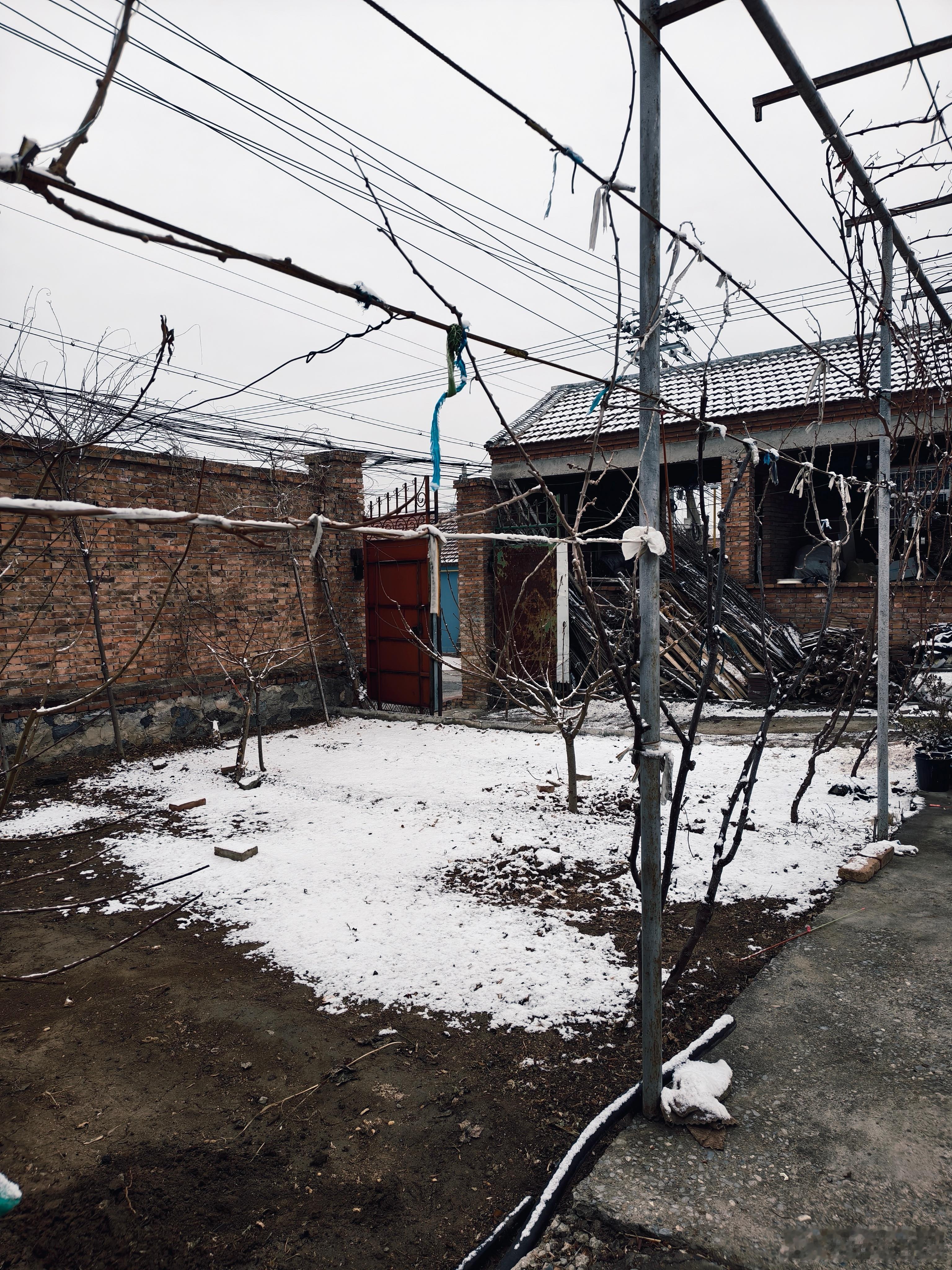 一早起来外面下雪了马年的第一场雪就这样悄悄地来了  你看到雪了吗春节摄影大赛马年