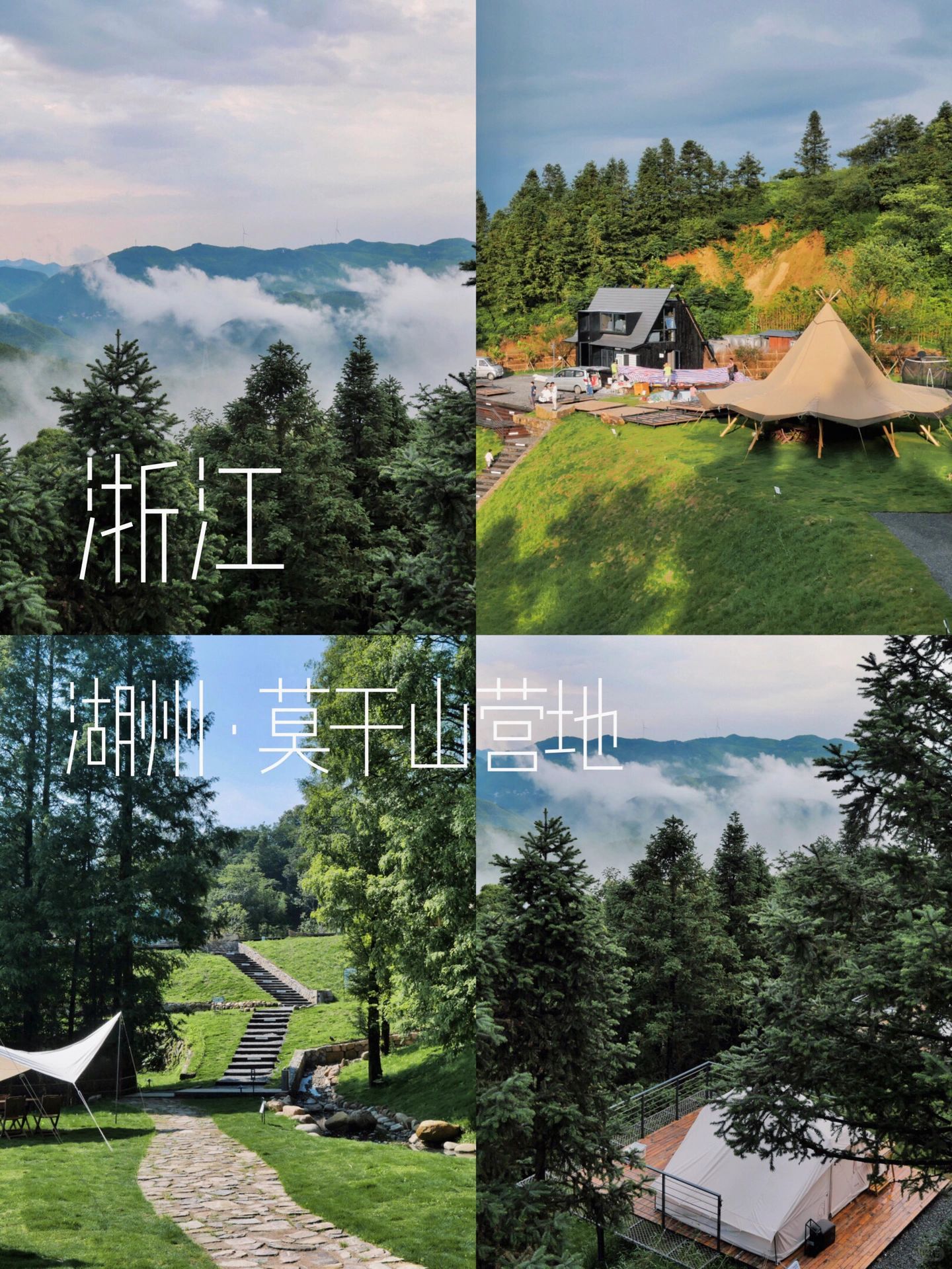 在莫干山！下次还来！被云海环绕的营地