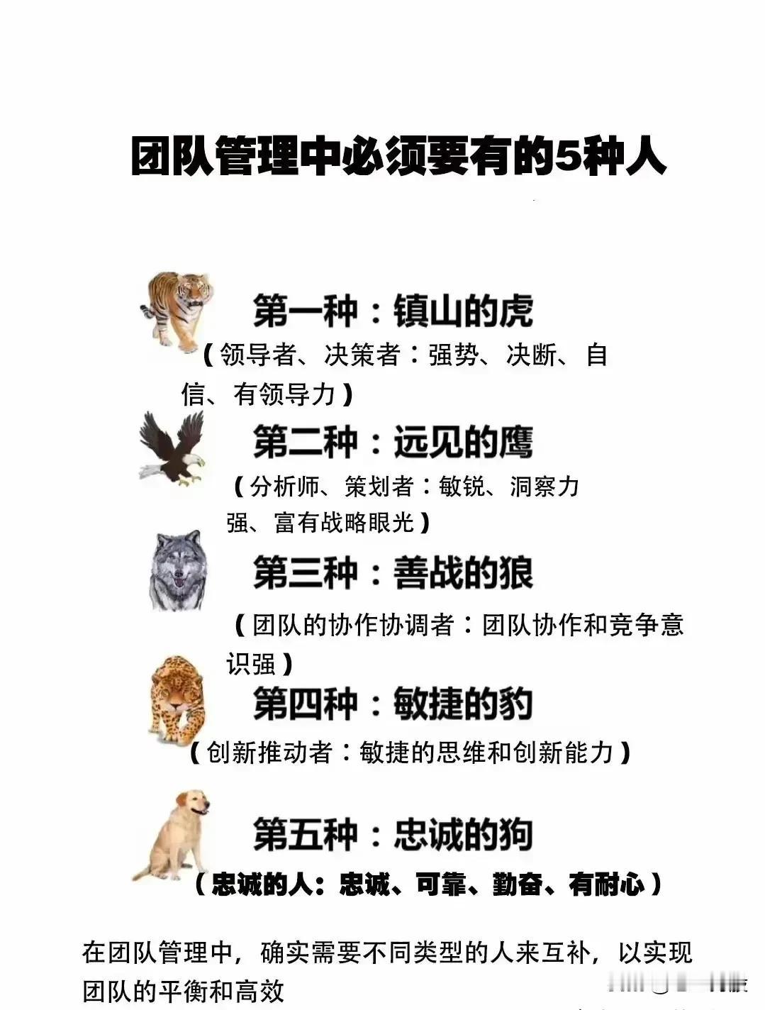团队需要5种人才组合！
1、虎：紧盯目标不放松
2、鹰：出谋献策瞄远方
3、狼：