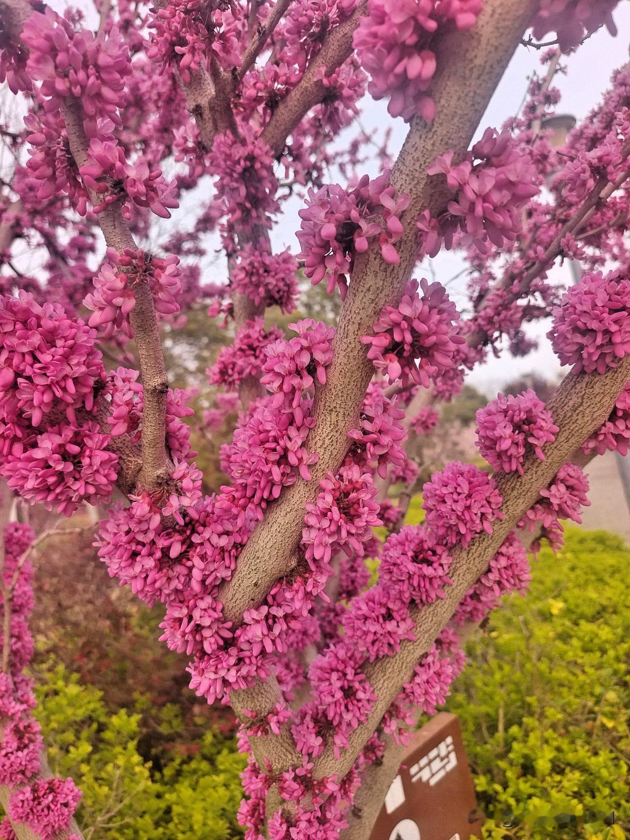 既然生养需操心，
从婴儿来到结婚，
婚后生孩又带孙，
直到断气化成灰。

怀孕操