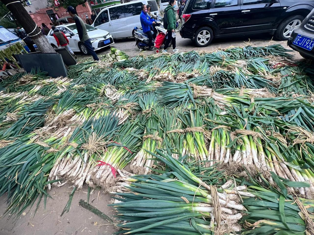 北方人买这么多大葱怎么吃？网友门口拉着卡车卖大葱，作为一个南方人不理解！
而且很