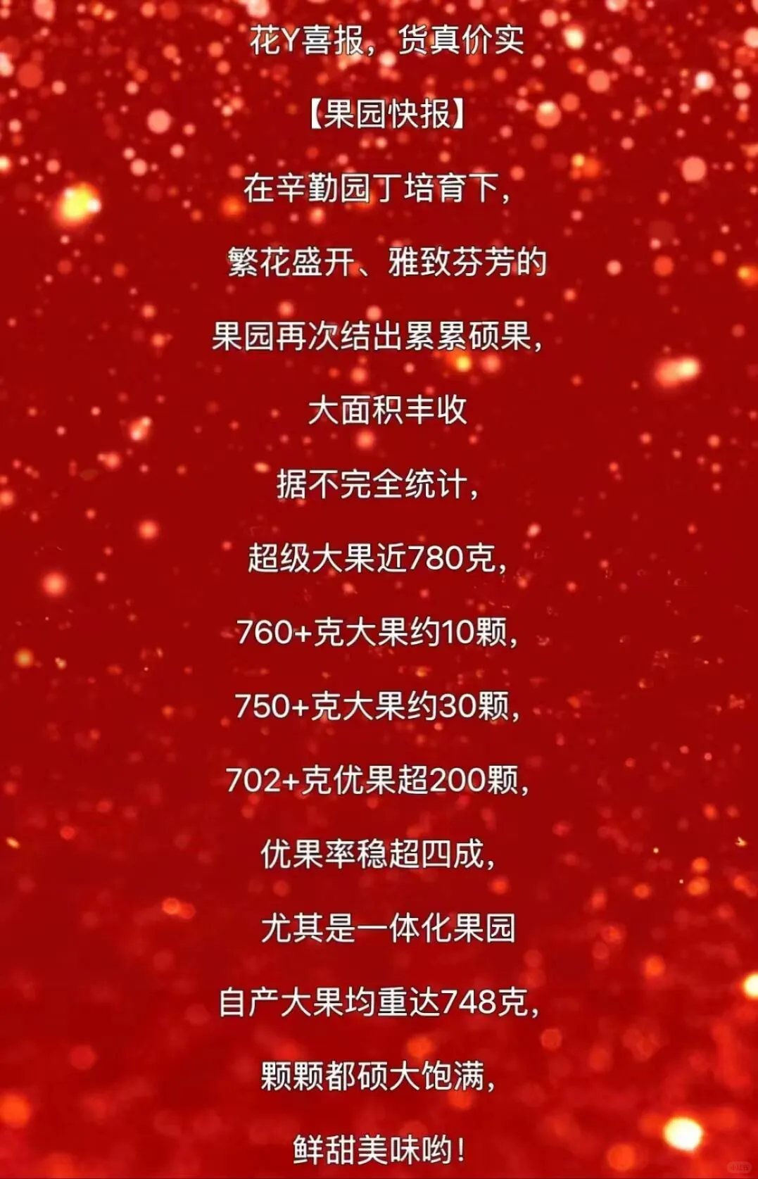 花雅中考战绩