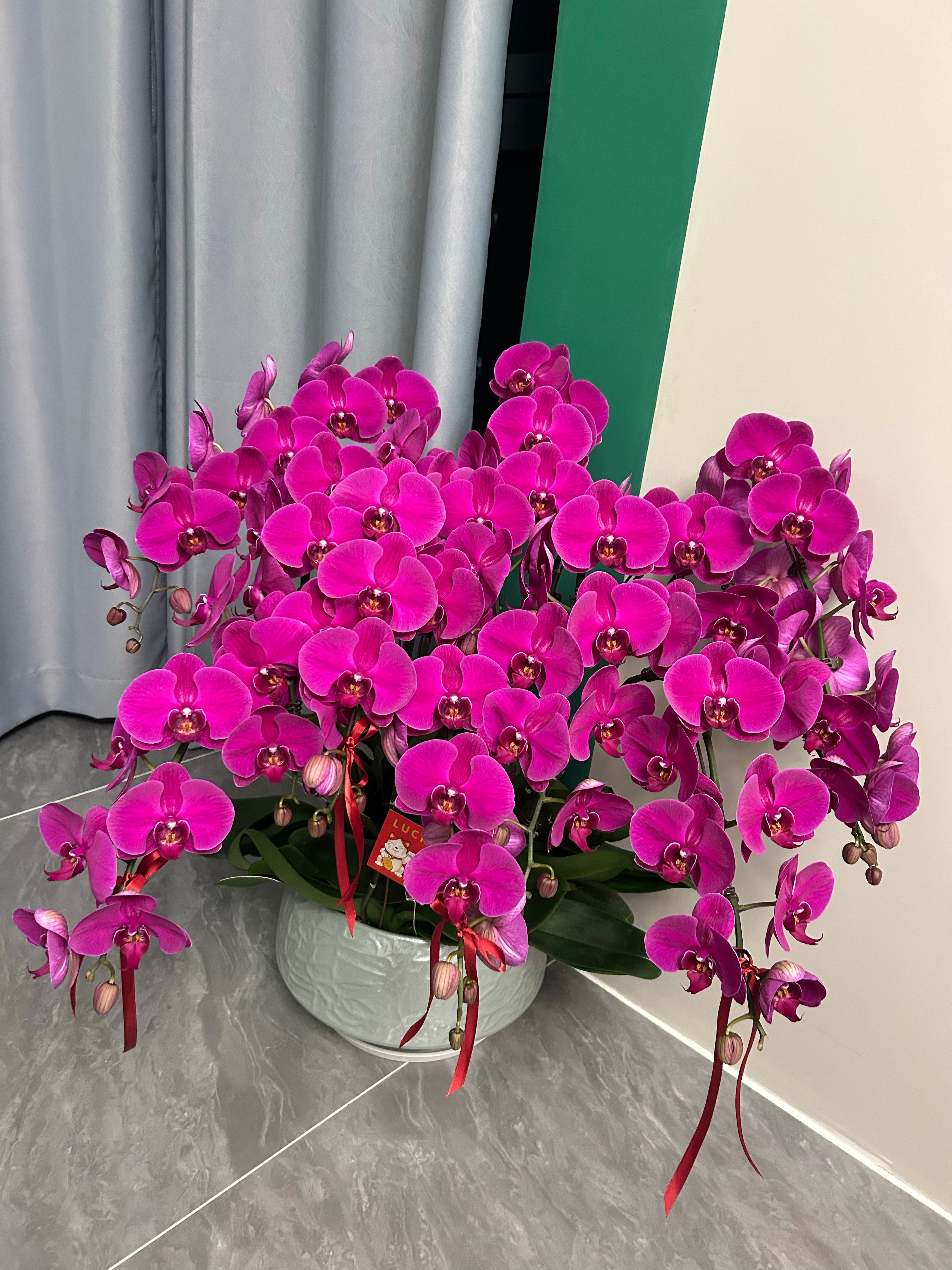 收到的祝福 三亚