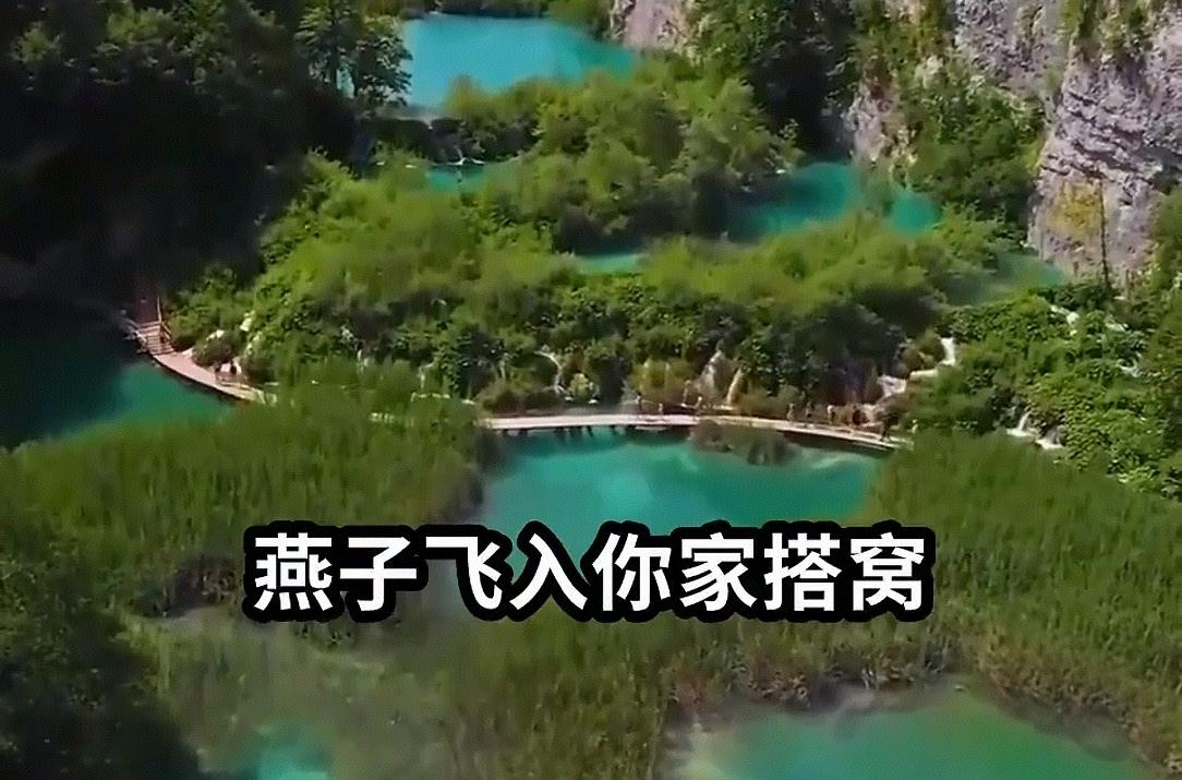 二十载燕语呢喃：守护弱小生灵的人，终被生活温柔以待

每天清晨五点半，湖南邵阳的