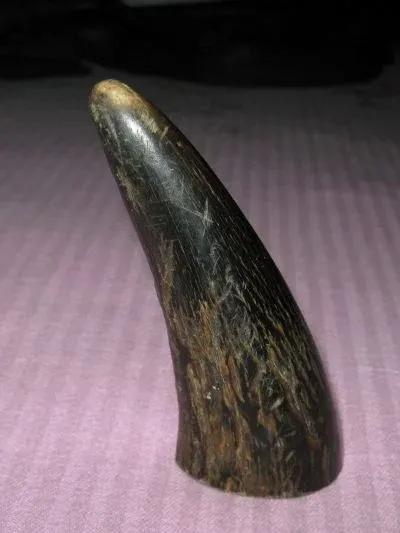 问一句犀牛角治啥病，被讹1万元！

出门在外打工，处处都是套路，我的一位朋友，问