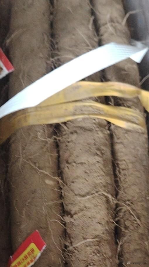 山药是好东西，可是我每次刮山药的时候手都特别痒。所以平常我们很少买山药回来，买回